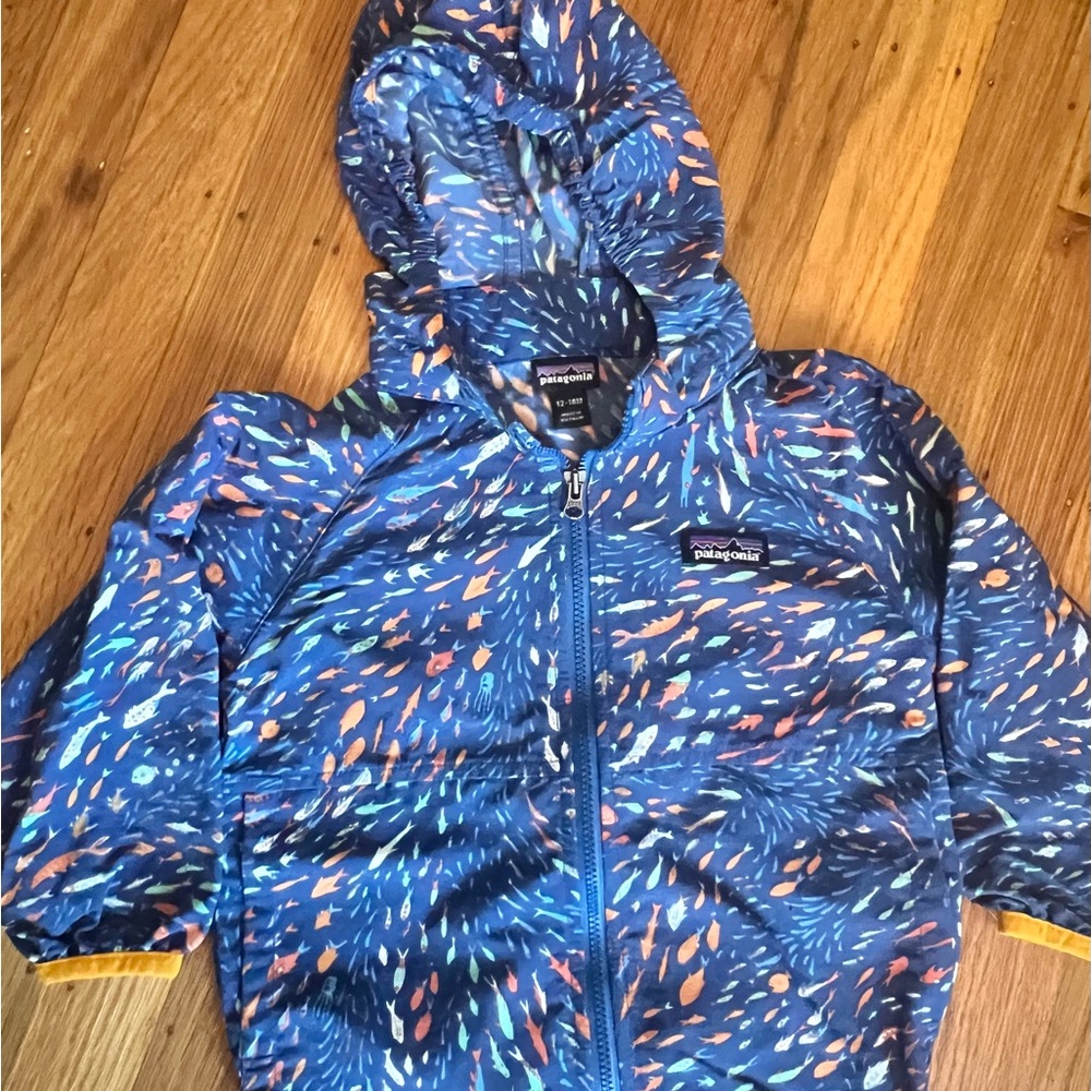Patagonia Baggies Jacket